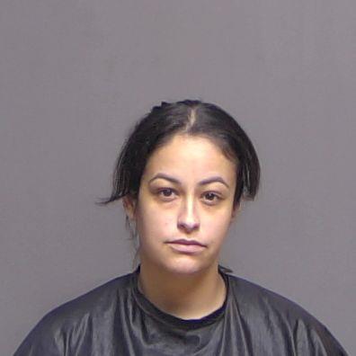 Flagler County FL Arrests Public Jail Records